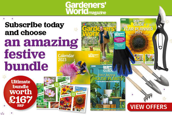 Magazine Subscriptions delivered to your door